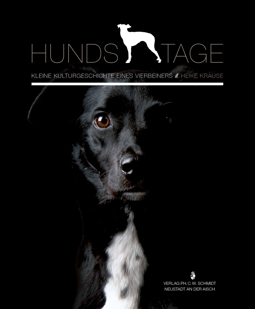 978-3-87707-930-0 - Hundstage - Titelbild