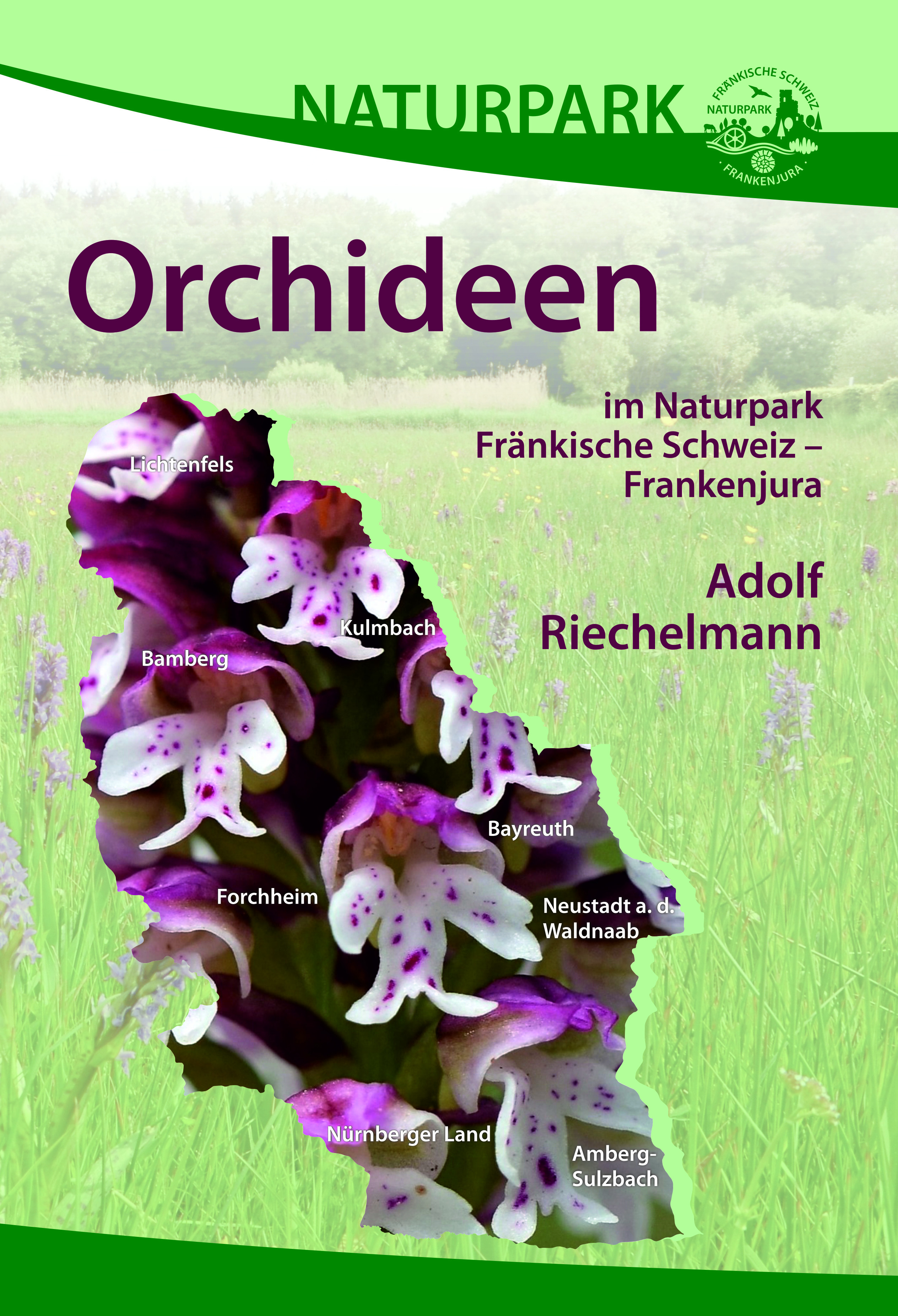978-3-87707-171-7 - Orchideen im Naturpark Fränkische Schweiz - Frankenjura - Titelbild