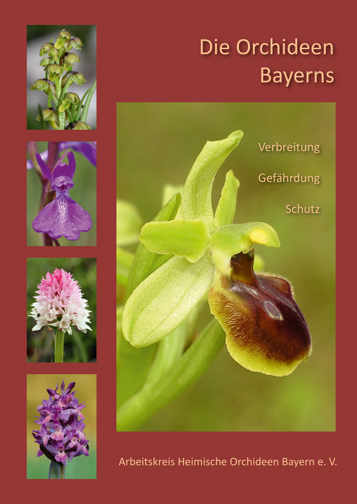 978-3-87707-929-4 - Die Orchideen Bayerns - Titelbild